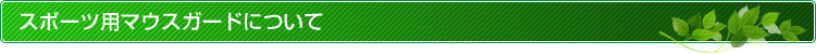 スポーツ用マウスガードについて