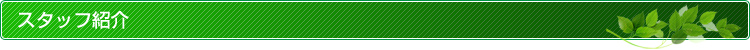 スタッフ紹介